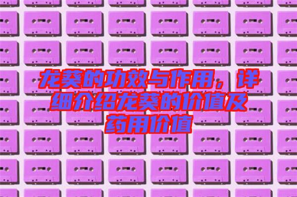 龍葵的功效與作用，詳細介紹龍葵的價值及藥用價值