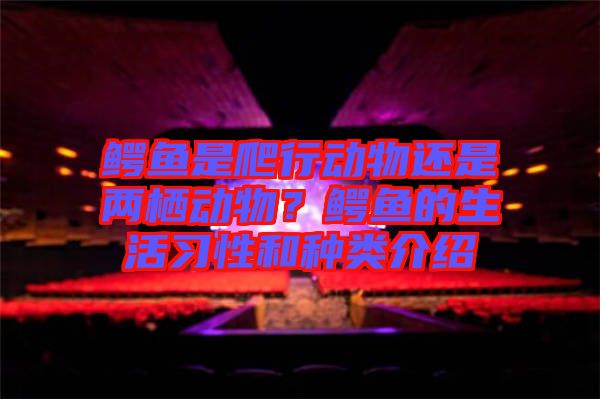 鱷魚是爬行動物還是兩棲動物？鱷魚的生活習性和種類介紹
