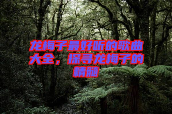 龍梅子最好聽的歌曲大全，探尋龍梅子的精髓