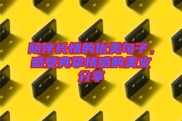 陪伴長情的優(yōu)美句子，感受真摯情感的美文分享