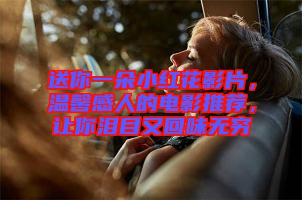 送你一朵小紅花影片，溫馨感人的電影推薦，讓你淚目又回味無窮