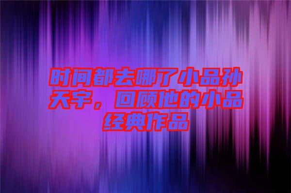 時間都去哪了小品孫天宇，回顧他的小品經典作品