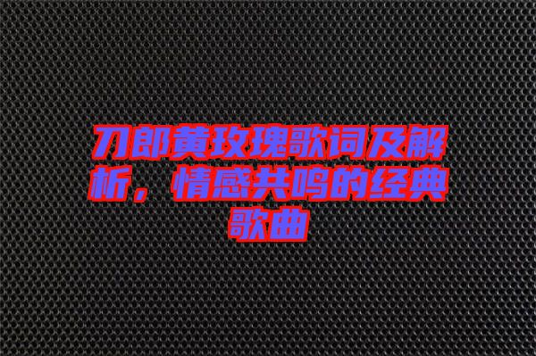 刀郎黃玫瑰歌詞及解析，情感共鳴的經典歌曲