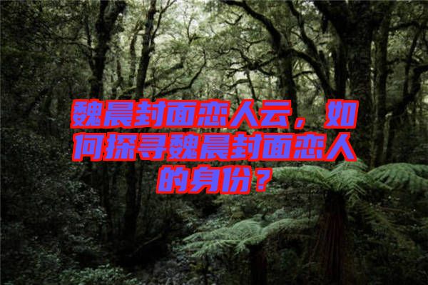 魏晨封面戀人云，如何探尋魏晨封面戀人的身份？